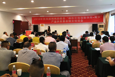 suncitygroup̫������--�ٷ���վ