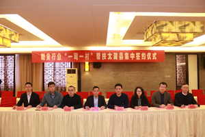 suncitygroup̫������--�ٷ���վ