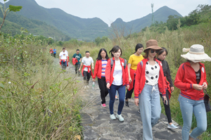 suncitygroup̫������--�ٷ���վ