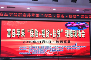 suncitygroup̫������--�ٷ���վ